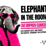 ELEPHANT IN THE ROOM
